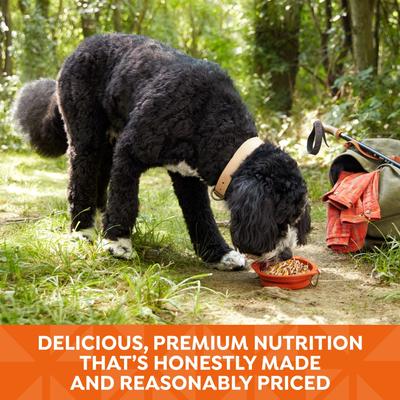 Show full view: Nature's Recipe Grain-Free Chicken Recipe in Broth Wet Dog Food, 2.75-oz tray, bundle of 24  slide 6 of 12