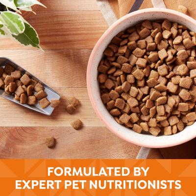 Show full view: Nature's Recipe Grain-Free Chicken, Sweet Potato & Pumpkin Recipe Dry Food + Chicken Recipe in Broth Wet Dog Food slide 9 of 9
