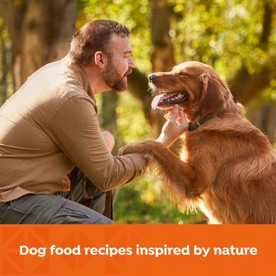 Show full view: Nature's Recipe Grain-Free Chicken, Sweet Potato & Pumpkin Recipe Wet Dog Food, 13-oz can, 12 count slide 6 of 12