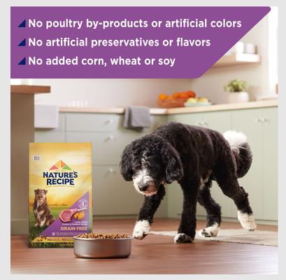 Show full view: Nature's Recipe Grain-Free Lamb, Sweet Potato & Pumpkin Recipe Dry Dog Food, 12-lb bag slide 6 of 13