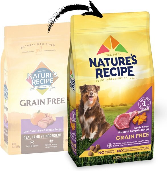 Nature's Recipe Grain-Free Lamb, Sweet Potato & Pumpkin Recipe Dry Dog Food
