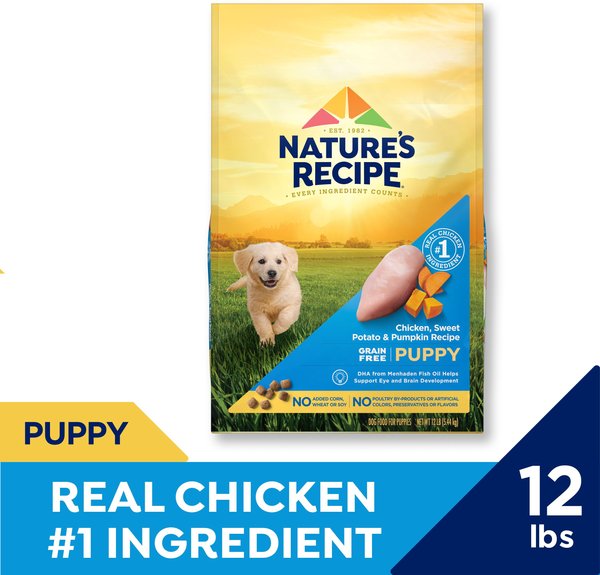 Nature's Recipe Grain-Free Puppy Chicken, Sweet Potato, & Pumpkin Recipe Dry Dog Food
