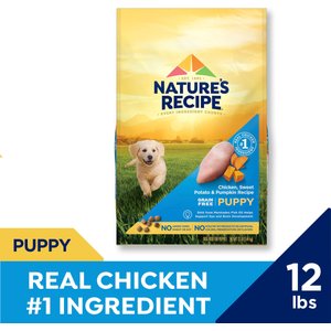 Nature's Recipe Grain-Free Puppy Chicken, Sweet Potato, & Pumpkin Recipe Dry Dog Food, 12-lb bag