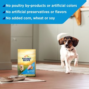 Nature's Recipe Grain-Free Puppy Chicken, Sweet Potato, & Pumpkin Recipe Dry Dog Food, 12-lb bag