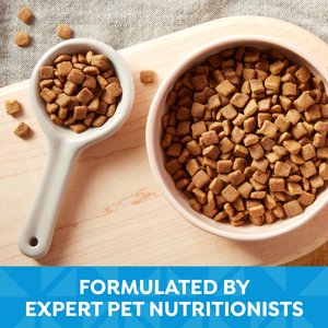 Nature's Recipe Grain-Free Puppy Chicken, Sweet Potato, & Pumpkin Recipe Dry Dog Food, 12-lb bag