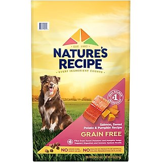 Nature's Recipe Grain-Free Salmon, Sweet Potato & Pumpkin Recipe Dry Dog Food, 24-lb bag slide 1 of 9