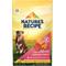 Show in main carousel: Nature's Recipe Grain-Free Salmon, Sweet Potato & Pumpkin Recipe Dry Dog Food, 24-lb bag slide 1 of 12