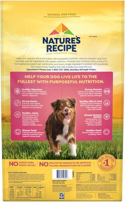 Show full view: Nature's Recipe Grain-Free Salmon, Sweet Potato & Pumpkin Recipe Dry Dog Food, 24-lb bag slide 4 of 12