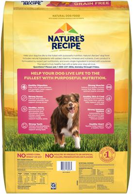 Show full view: Nature's Recipe Grain-Free Salmon, Sweet Potato & Pumpkin Recipe Dry Dog Food, 34-lb bag slide 5 of 12