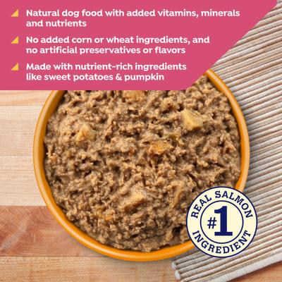 Show full view: Nature's Recipe Grain-Free Salmon, Sweet Potato & Pumpkin Recipe Wet Dog Food, 13-oz can, 12 count slide 5 of 12