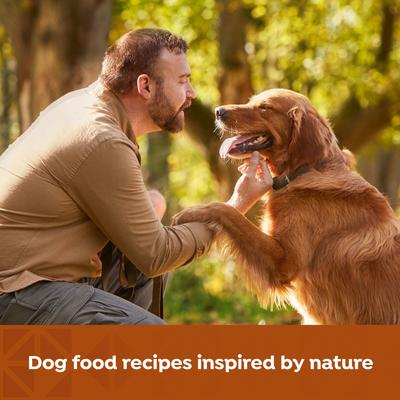 Show full view: Nature's Recipe Grain-Free Variety Pack Chicken & Beef Recipes Wet Dog Food, 13-oz, 12 count slide 5 of 11