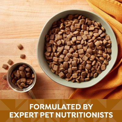 Show full view: Nature's Recipe Mature Lamb & Rice Recipe Dry Dog Food, 24-lb bag slide 5 of 14