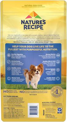 Show full view: Nature's Recipe Small Breed Grain-Free Chicken, Sweet Potato & Pumpkin Recipe Dry Dog Food, 4-lb bag slide 4 of 13