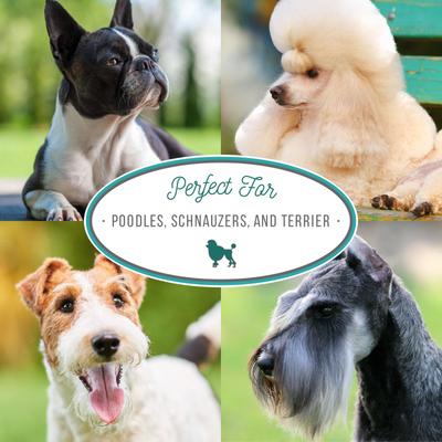 Show full view: Nature's Specialties Almond Crisp Dog Shampoo, 16-fl oz bottle slide 4 of 6