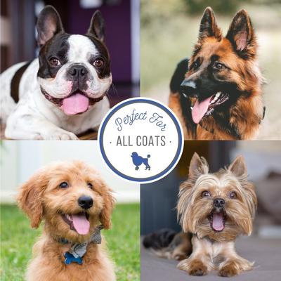 Show full view: Nature's Specialties Coat Dog Conditioner & Aloe, 32-fl oz bottle slide 2 of 3