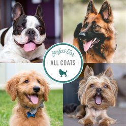 Nature's Specialties High Concentrate Shampoo for Dirty Dogs, 32-fl oz bottle slide 2 of 3