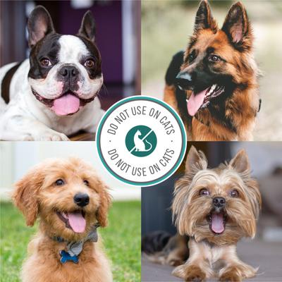 Show full view: Nature's Specialties Tar & Sulfur Medicated Shampoo, 16-fl oz bottle slide 3 of 5