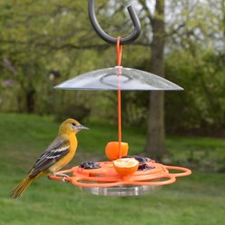 Natures Way Bird Products All-In-One Oriole Buffet Bird Feeder, Orange, 12-oz slide 2 of 9