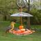 Show in main carousel: Natures Way Bird Products All-In-One Oriole Buffet Bird Feeder, Orange, 12-oz slide 2 of 10