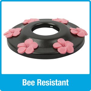 Natures Way Bird Products Antique Glass Gravity Hummingbird Feeder, Teal, 28-oz