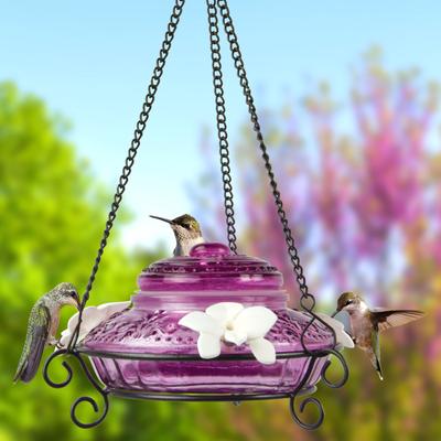 Show full view: Natures Way Bird Products Antique Top-Fill Hummingbird Feeder, Plum, 14-oz slide 2 of 9