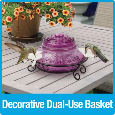 Show full view: Natures Way Bird Products Antique Top-Fill Hummingbird Feeder, Plum, 14-oz slide 4 of 9