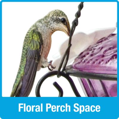 Show full view: Natures Way Bird Products Antique Top-Fill Hummingbird Feeder, Plum, 14-oz slide 6 of 9