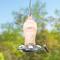 Show in main carousel: Natures Way Bird Products Artisan Gravity Hummingbird Feeder, Pink, 16-oz slide 2 of 8