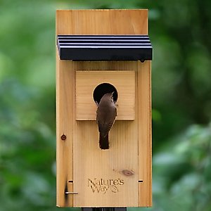 Natures Way Bird Products Bluebird Box House, Cedar 