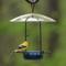 Show in main carousel: Natures Way Bird Products Bluebird Buffet Bird Feeder, Blue, 0.75-cup slide 3 of 10