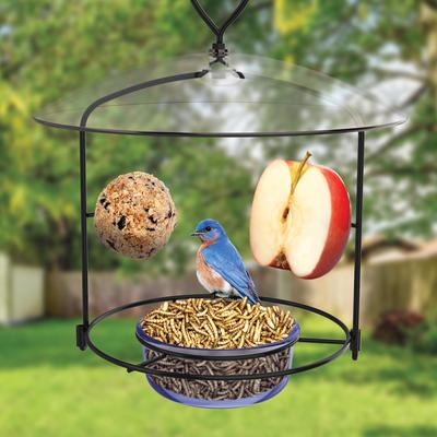 Show full view: Natures Way Bird Products Bluebird Buffet Bird Feeder, Blue, 0.75-cup slide 5 of 10