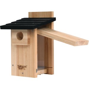 Natures Way Bird Products Bluebird Viewing House, Cedar