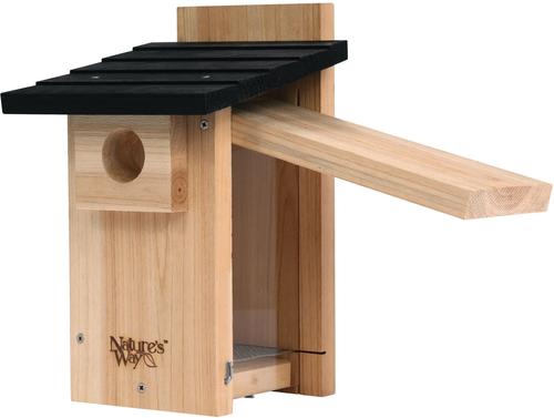 Show full view: Natures Way Bird Products Bluebird Viewing House, Cedar slide 1 of 9