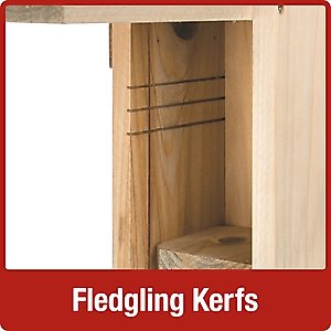 Natures Way Bird Products Bluebird Viewing House, Cedar