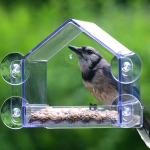 Natures Way Bird Products Clear View Window Bird Feeder, Clear, 2-cup