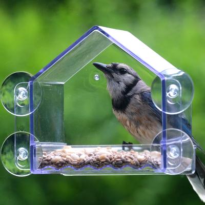 Show full view: Natures Way Bird Products Clear View Window Bird Feeder, Clear, 2-cup slide 3 of 9