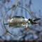 Show in main carousel: Natures Way Bird Products Decorative Glass Top-Fill Hummingbird Feeder, 13-oz, Green slide 2 of 10