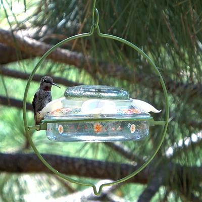 Show full view: Natures Way Bird Products Decorative Glass Top-Fill Hummingbird Feeder, 13-oz, Green slide 3 of 10