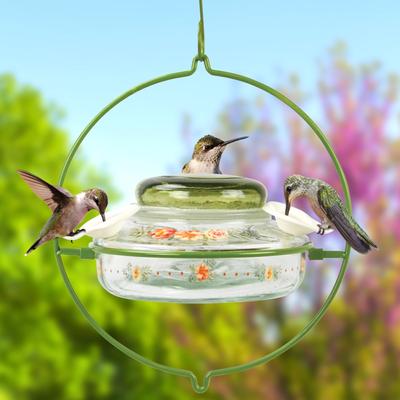 Show full view: Natures Way Bird Products Decorative Glass Top-Fill Hummingbird Feeder, 13-oz, Green slide 6 of 10