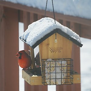 Natures Way Bird Products Hopper Bird Feeder with Suet, Cedar, 3-qt
