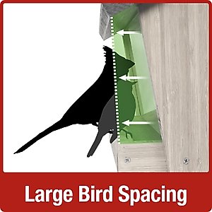 Natures Way Bird Products Hopper Bird Feeder with Suet, Cedar, 3-qt