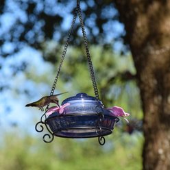 Natures Way Bird Products Illuminated Antique Top-Fill Hummingbird Feeder, Blue, 14-oz slide 2 of 9