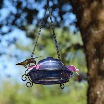Show full view: Natures Way Bird Products Illuminated Antique Top-Fill Hummingbird Feeder, Blue, 14-oz slide 2 of 9