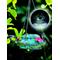 Show in main carousel: Natures Way Bird Products Illuminated Top Fill Bird Feeder, Multiple colors, 16-oz slide 5 of 10