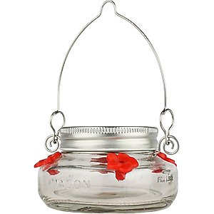 Natures Way Bird Products Mason Jar Humming Bird Feeder, Clear, 6-oz