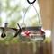 Show in main carousel: Natures Way Bird Products Mason Jar Humming Bird Feeder, Clear, 6-oz slide 2 of 8