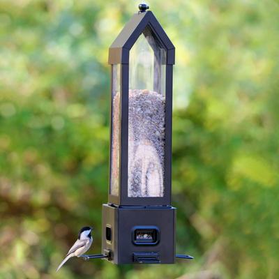 Show full view: Natures Way Bird Products Squirrel Shield Choice Lantern Bird Feeder, Black, 3.2-qt slide 2 of 9