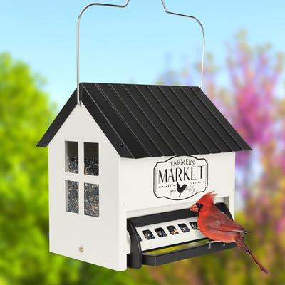 Show full view: Natures Way Bird Products Squirrel Shield Hopper Bird Feeder, Black, 5.5-qt slide 6 of 10