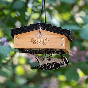Natures Way Bird Products Suet Upside-Down Bird Feeder, Cedar