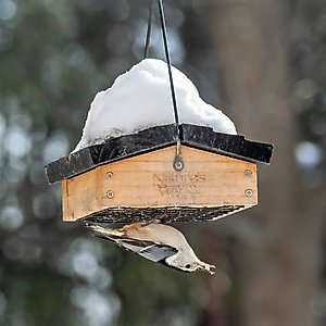 Natures Way Bird Products Suet Upside-Down Bird Feeder, Cedar
